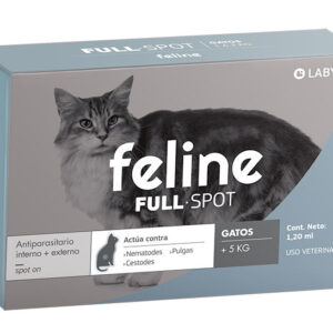 Feline Fullspot