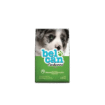 belcan-cachorro