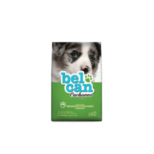belcan-cachorro