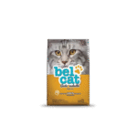 belcat-gato-adulto