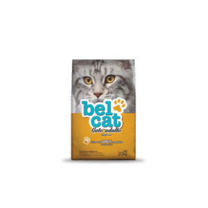 belcat-gato-adulto