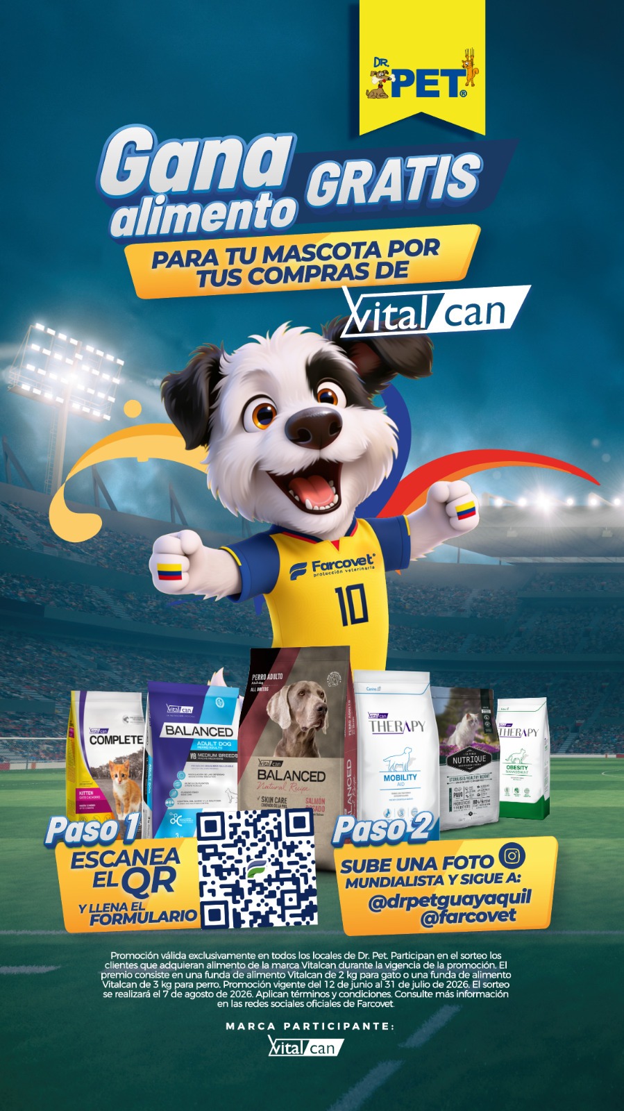 Mundial farcovet y dr pet