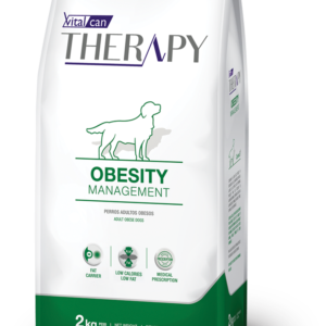 therapy-obesity-caninos